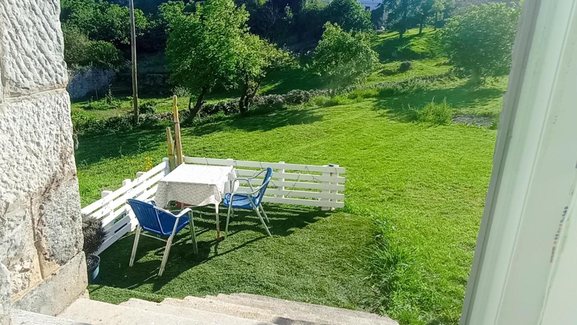 Vivienda En Lekeitio Διαμέρισμα Εξωτερικό φωτογραφία