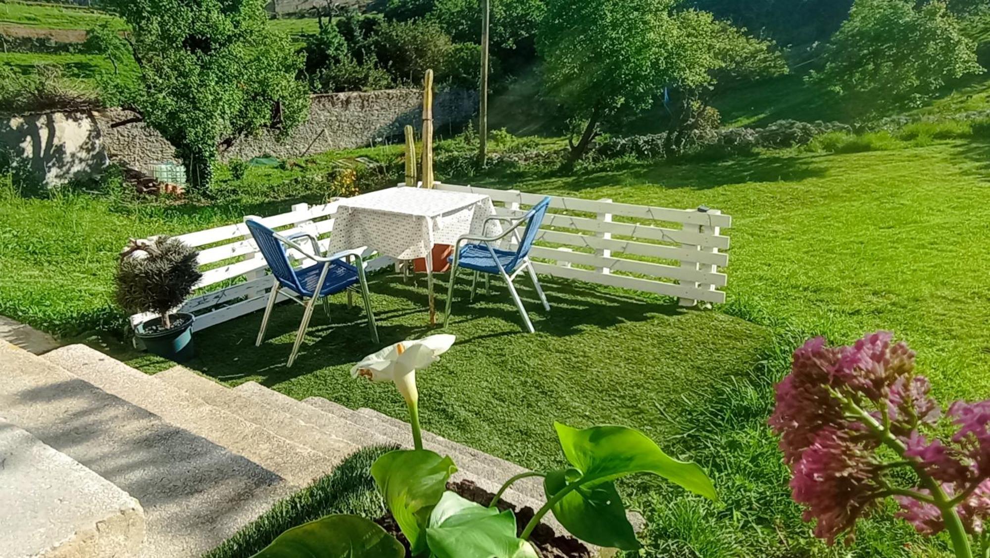 Vivienda En Lekeitio Διαμέρισμα Εξωτερικό φωτογραφία